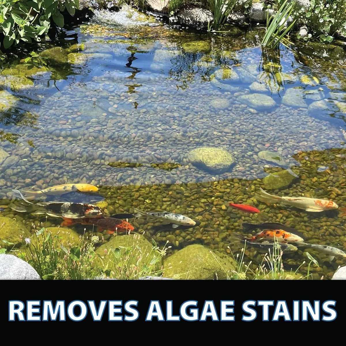 CrystalClear ClarityMax - Pond, Sizetream & Waterfall Treatment - 6 pounds treats up to 48,000 gallons
