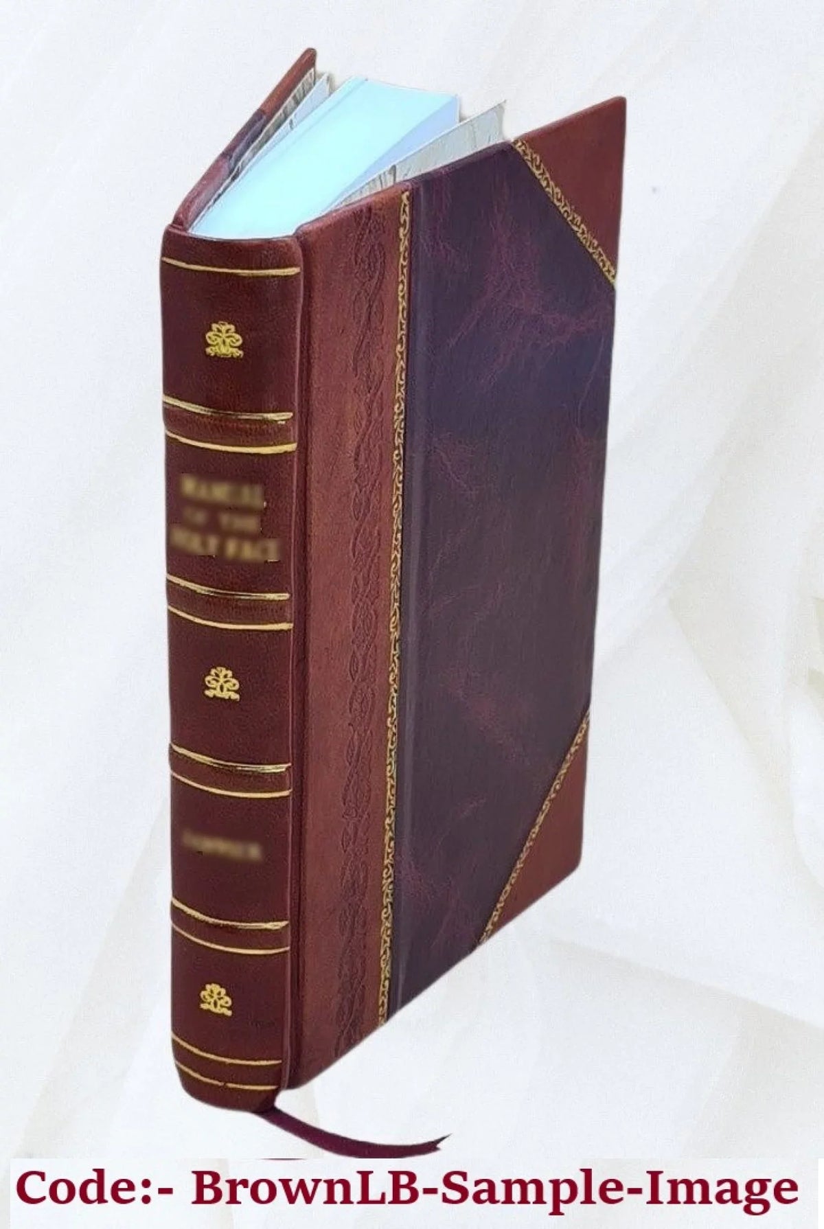 Water-powers of Manitoba, Sizeaskatchewan and Alberta by Leo G. Denis ; additional date [sic] respecting water-powers of southern Manitoba and Bow River by J.B. Challies. 1916 [Leathe