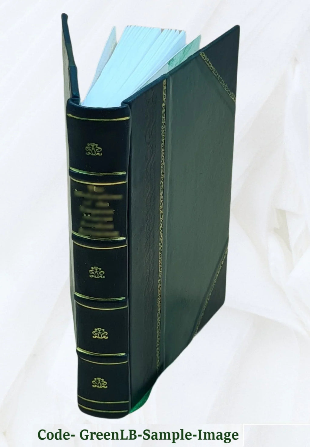 Herbarium amboinense ?plurimas conplectens arbores, frutices, herbas, plantas terrestres & aquaticas, quae in Amboina et adjacentibus reperiuntur insulis adcuratissime descriptas i
