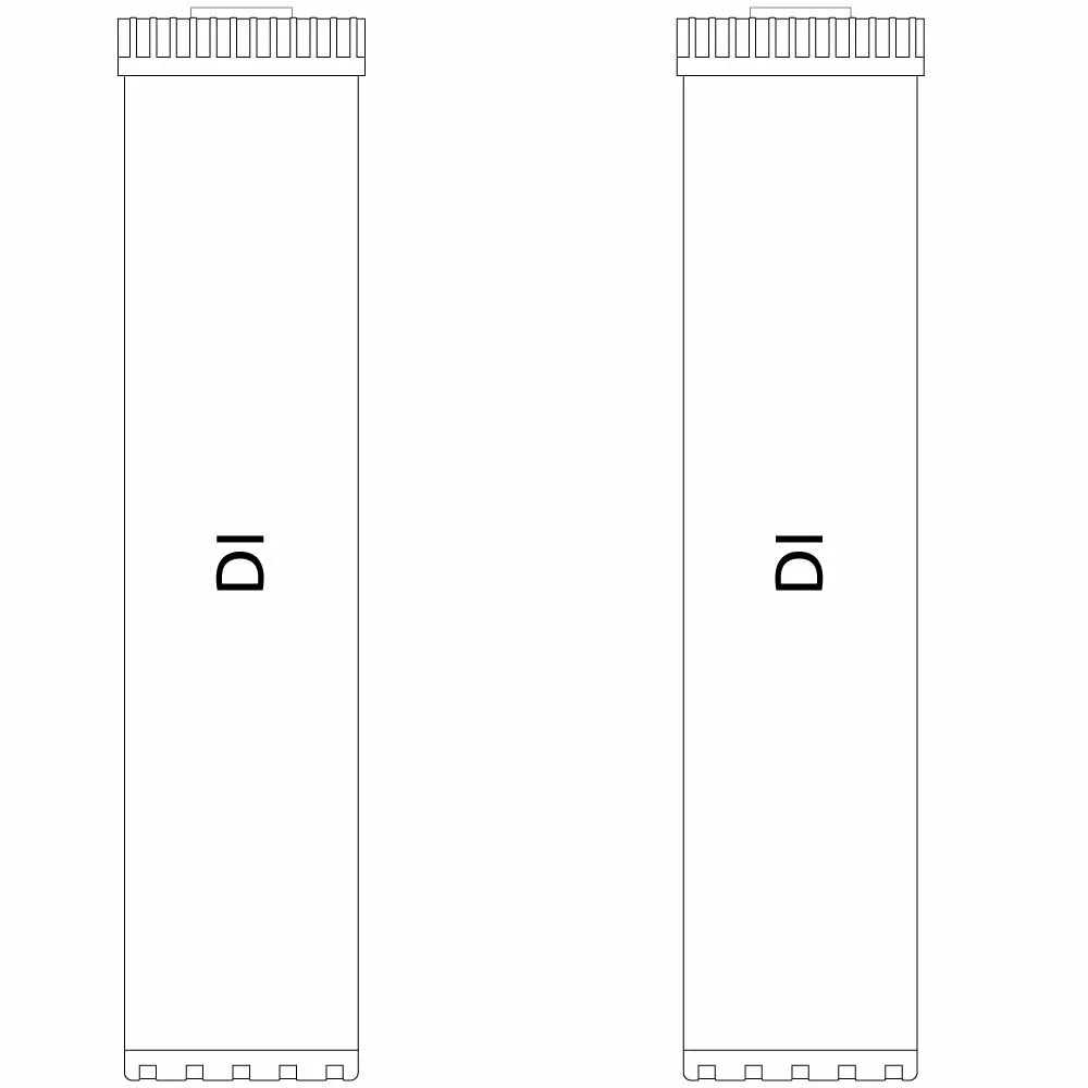 20-inch Big Blue 2 Sizetage Filter Kit with Dual DI Filters