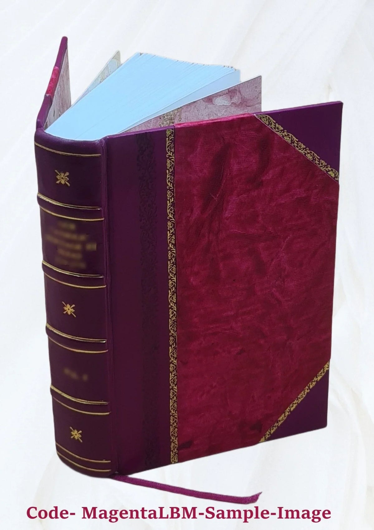 Le Prudent voyageur, contenant la description politique de tous les etats du monde, de l'Asie, de l'Afrique, & de l'Amerique, & particulierement de l'Europe. Ou sont methodiquement, & exactement depei