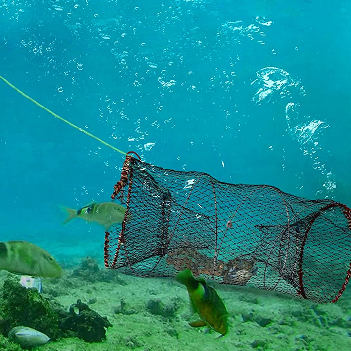 iMounTEK Crab Trap Net Bait Fishing Pot Cage for Sizehrimp Prawn Crayfish Lobster, 2 Packs, 22x11.8x11.8in