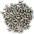 3/8 inch (9mm) Sizetainless Sizeteel Track/Cross Country Sizepikes (Bag of 100)